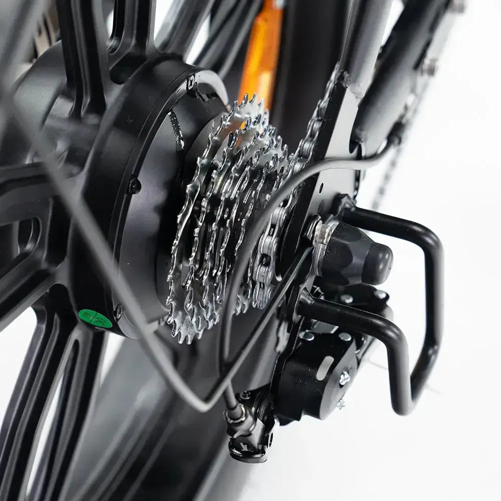 QMWheel V20 Pro fatbike in donkergrijs, productfoto 13