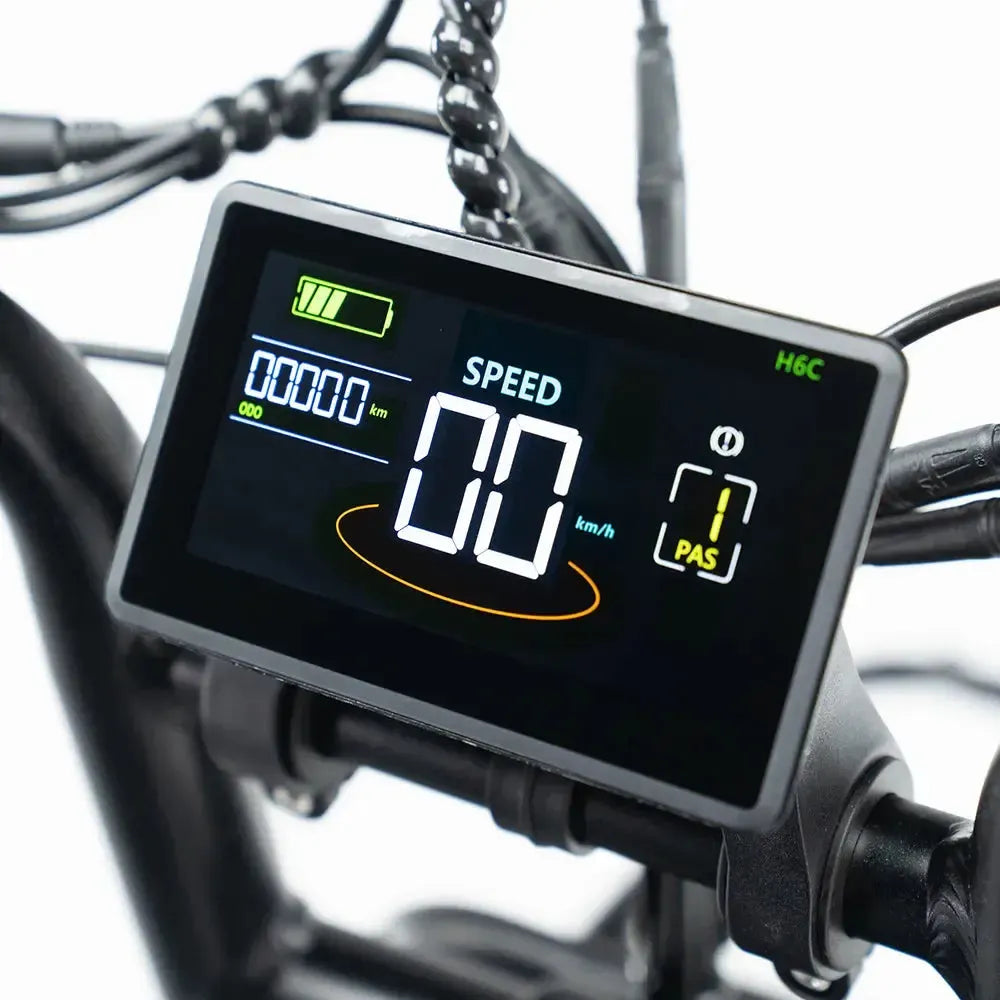 QMWheel V20 Pro fatbike in zwart, productfoto 9