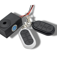 Fatbike Alarm Eingebaut, Mini