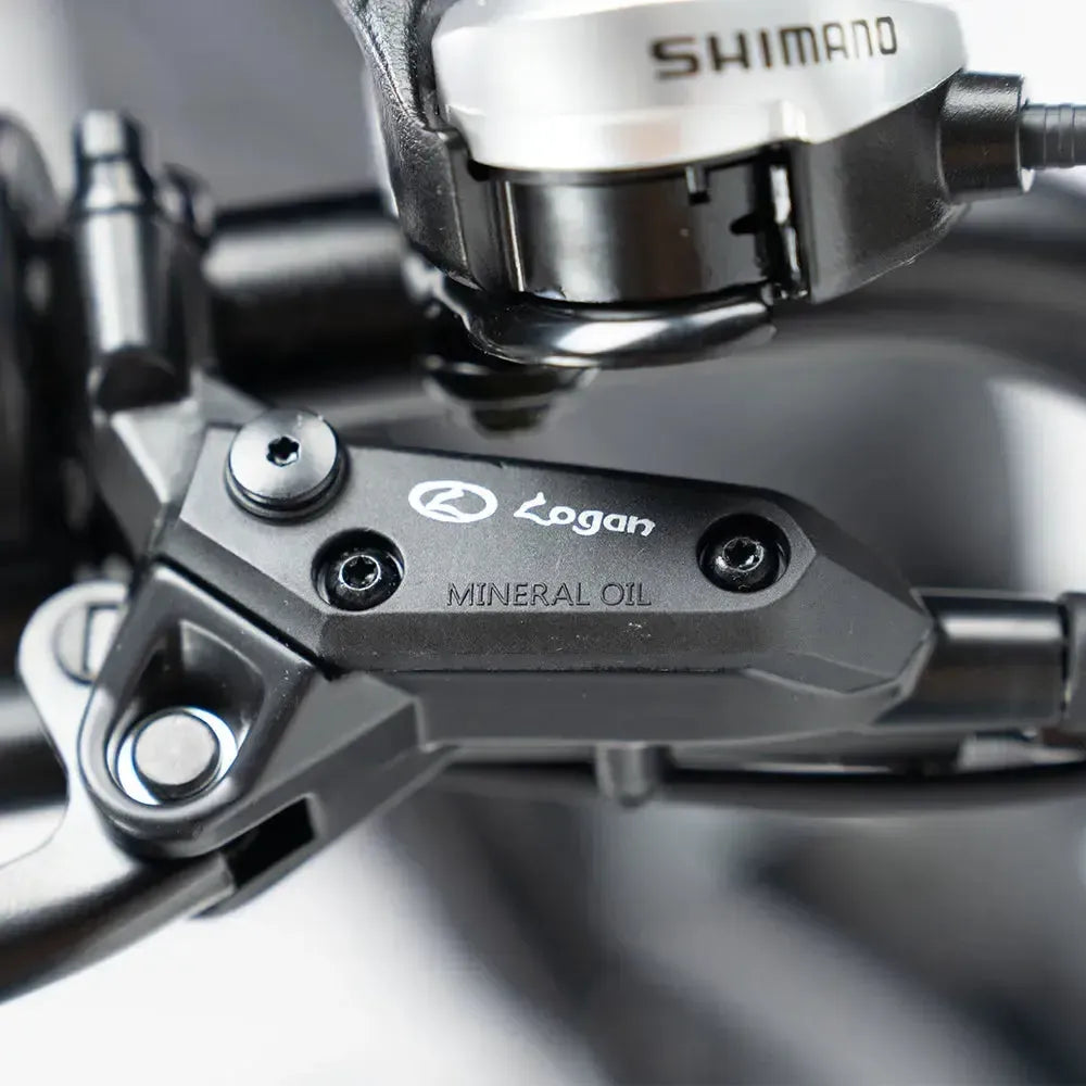 QMWheel V20 Pro fatbike in donkergrijs, productfoto 7