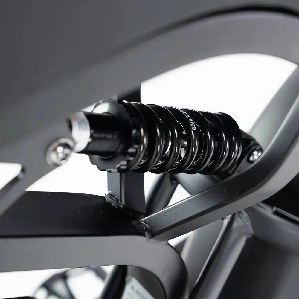 QMWheel V20 Pro fatbike in lichtgrijs, productfoto 12