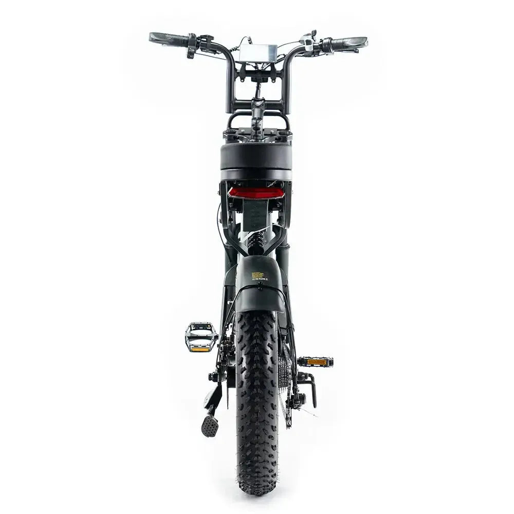 QMWheel V20 Pro fatbike in zwart, productfoto 7