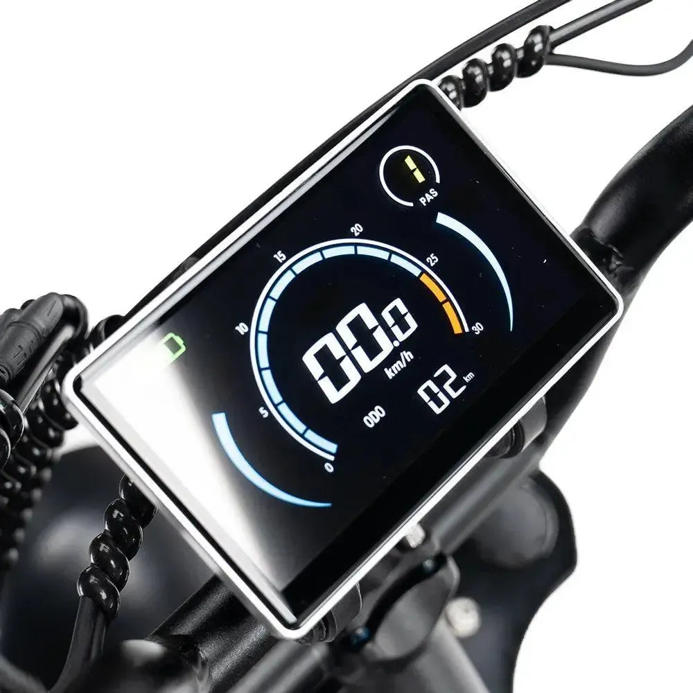 Ouxi V8 2025 Fatbike in Schwarz, Detail des Farbdisplays mit Tachometer und PAS-Stufe